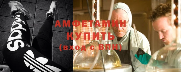 молекула духа Алексеевка