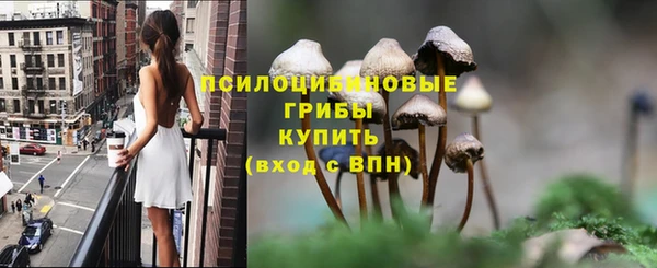 кокс Алексин
