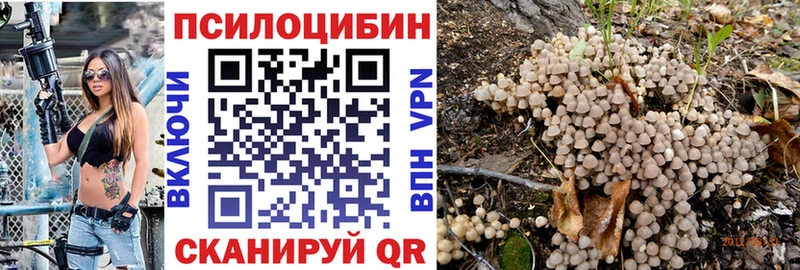 МЕГА ONION  даркнет сайт  Анадырь  Галлюциногенные грибы Psilocybine cubensis 